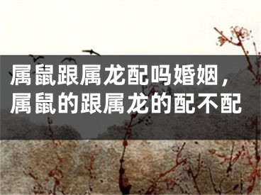 属鼠跟属龙配吗婚姻，属鼠的跟属龙的配不配