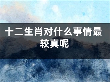 十二生肖对什么事情最较真呢