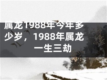 属龙1988年今年多少岁,1988年属龙一生三劫