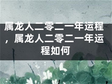 属龙人二零二一年运程,属龙人二零二一年运程如何