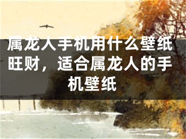 属龙人手机用什么壁纸旺财,适合属龙人的手机壁纸
