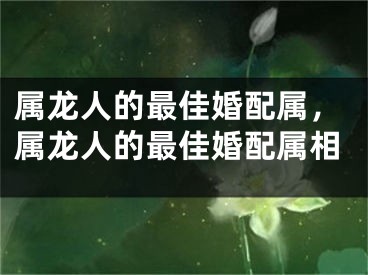 属龙人的最佳婚配属，属龙人的最佳婚配属相
