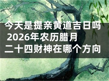 今天是提亲黄道吉日吗 2026年农历腊月二十四财神在哪个方向