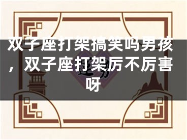 双子座打架搞笑吗男孩，双子座打架厉不厉害呀