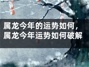 属龙今年的运势如何,属龙今年运势如何破解