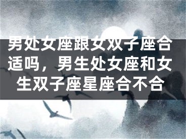 男处女座跟女双子座合适吗,男生处女座和女生双子座星座合不合