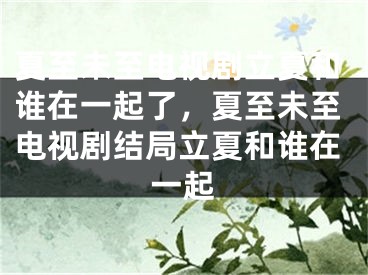 夏至未至电视剧立夏和谁在一起了,夏至未至电视剧结局立夏和谁在一起