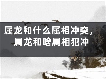属龙和什么属相冲突，属龙和啥属相犯冲