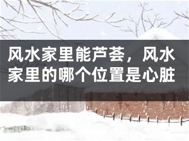 风水家里能芦荟,风水家里的哪个位置是心脏