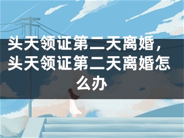 头天领证第二天离婚,头天领证第二天离婚怎么办
