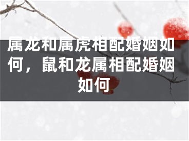 属龙和属虎相配婚姻如何,鼠和龙属相配婚姻如何