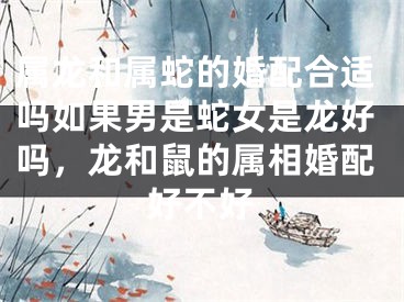 属龙和属蛇的婚配合适吗如果男是蛇女是龙好吗，龙和鼠的属相婚配好不好