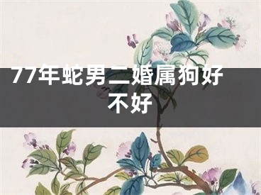 77年蛇男二婚属狗好不好