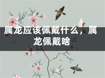 属龙应该佩戴什么,属龙佩戴啥