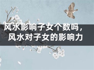 风水影响子女个数吗，风水对子女的影响力