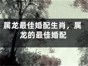 属龙最佳婚配生肖,属龙的最佳婚配