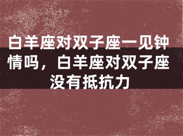 白羊座对双子座一见钟情吗,白羊座对双子座没有抵抗力