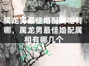 属龙男最佳婚配属相有哪，属龙男最佳婚配属相有哪几个