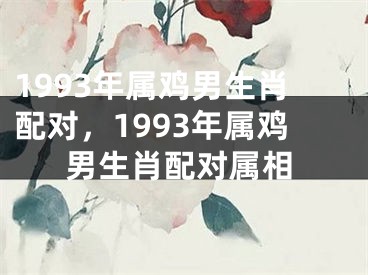 1993年属鸡男生肖配对，1993年属鸡男生肖配对属相