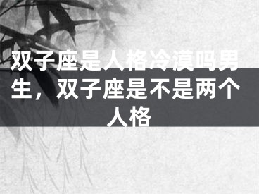 双子座是人格冷漠吗男生，双子座是不是两个人格