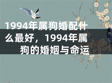 1994年属狗婚配什么最好，1994年属狗的婚姻与命运