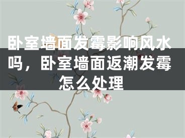 卧室墙面发霉影响风水吗，卧室墙面返潮发霉怎么处理