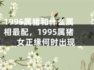 1995属猪和什么属相最配,1995属猪女正缘何时出现
