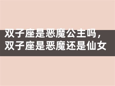 双子座是恶魔公主吗，双子座是恶魔还是仙女