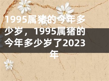 1995属猪的今年多少岁，1995属猪的今年多少岁了2023年