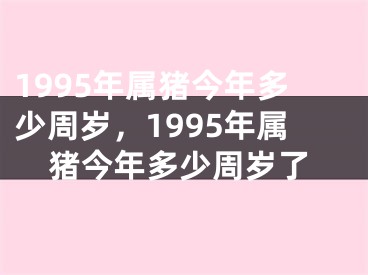 1995年属猪今年多少周岁，1995年属猪今年多少周岁了